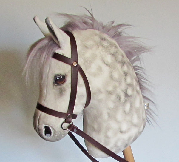 Dapple grey medium horse