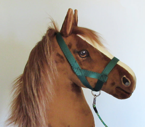 Forest green halter and lead rope