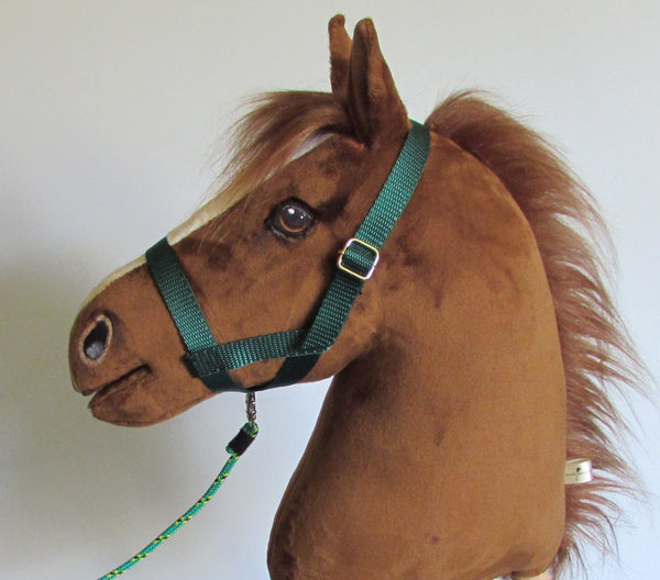 Forest green halter and lead rope