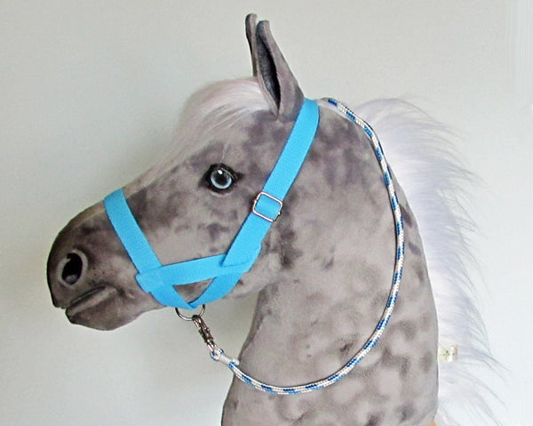 Pale blue halter and lead rope