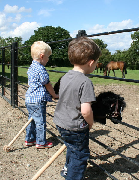 Bay hobby horse - for ages 1-4
