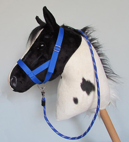 Blue halter and lead rope