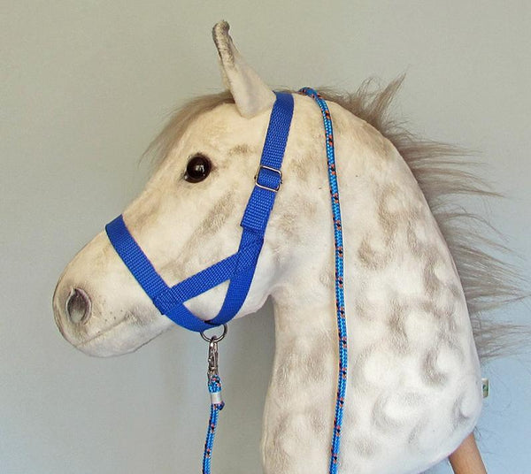 Blue halter and lead rope