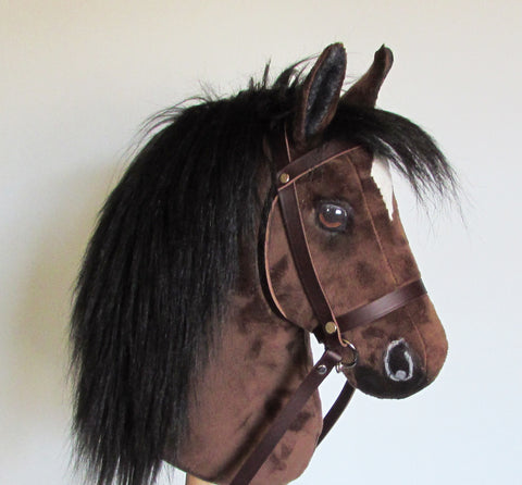 Bay medium horse