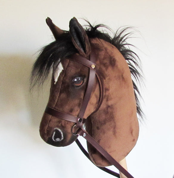Bay medium horse