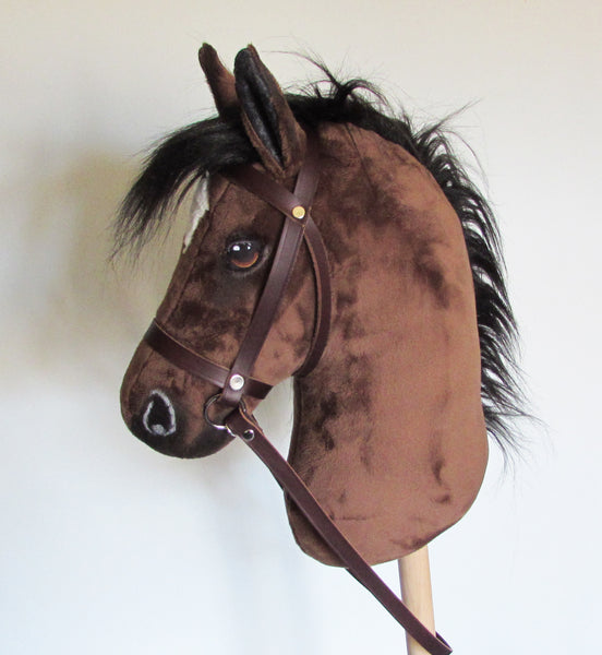 Bay medium horse