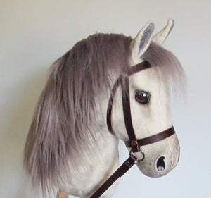 Dapple grey medium horse