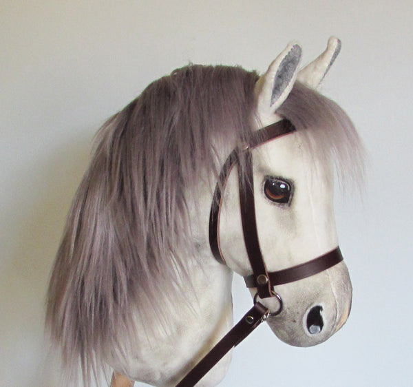Dapple grey medium horse