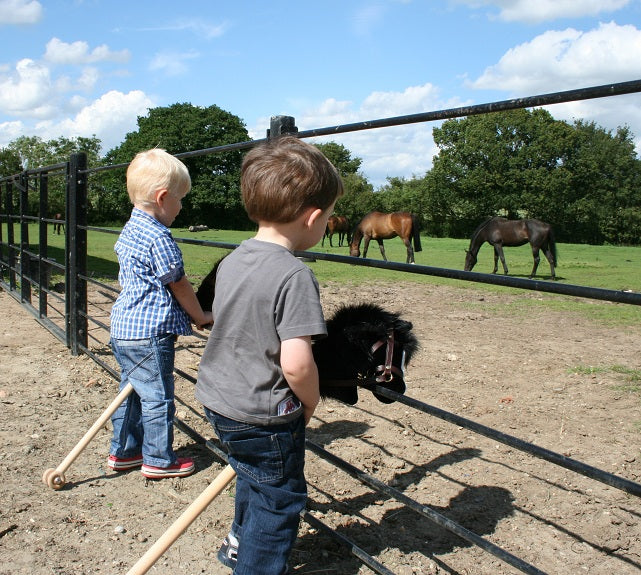 Kids with Hobby Horses