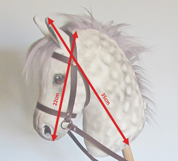 Dapple grey medium horse