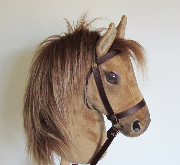 Strawberry roan medium horse