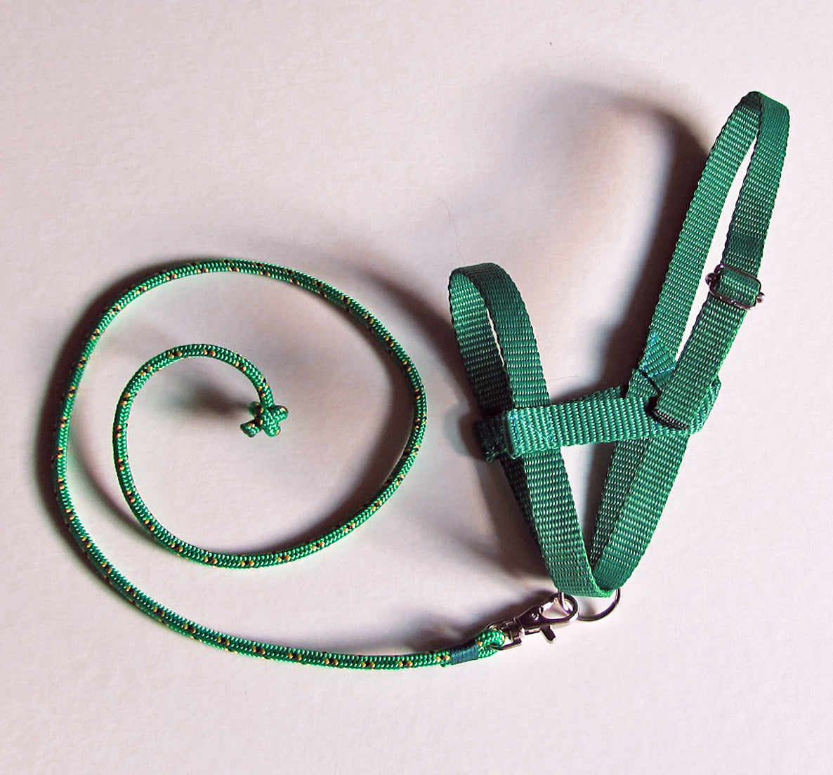 Forest green halter and lead rope