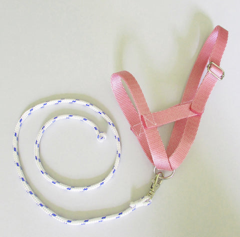 Pink halter and lead rope