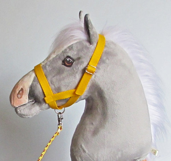 Yellow halter and lead rope