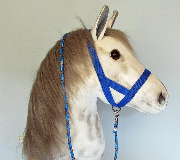 Blue halter and lead rope