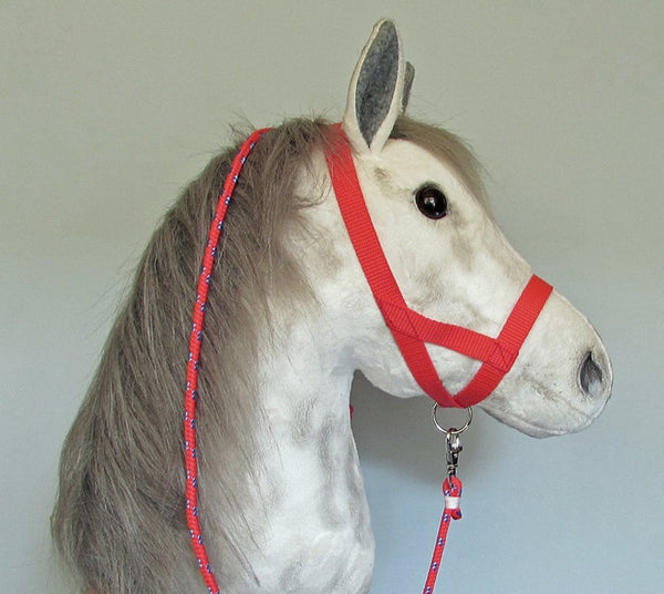 Red halter and lead rope