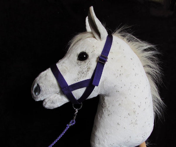 Purple halter and lead rope